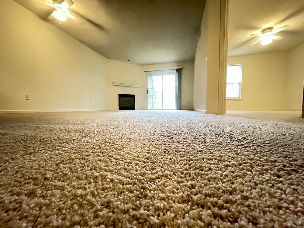 Carpet Cleaning - Rockton, Illinois