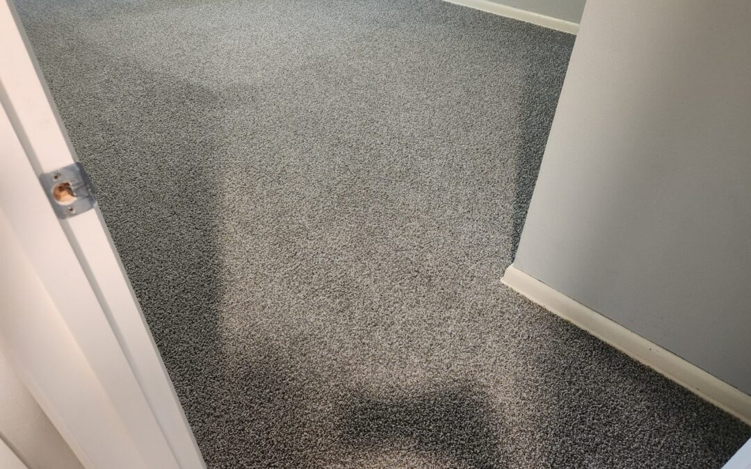 Freshly cleaned gray carpet in a well-lit room, showcasing the results of professional carpet cleaning by All Seasons Carpet Cleaning in Rockford, IL.