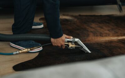 Professional carpet cleaning in progress, technician using a vacuum tool on a dark area rug, showcasing All Seasons Carpet Cleaning services.